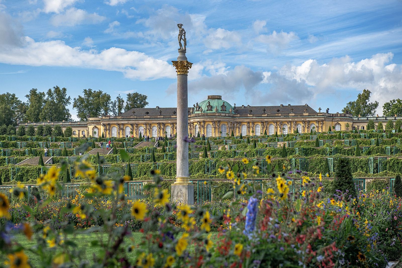 Schloss Sanssouci oberhalb der Weinbergterrassen in Potsdam, davor Sommerblumen und eine Säule mit Figur